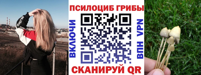 Галлюциногенные грибы Psilocybine cubensis  Сураж 